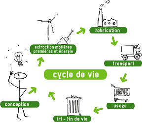 Cycle de vie